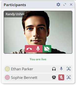 Large webcam mode highlights the active speaker.