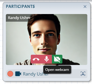 Video call view showing active participant feed with call controls